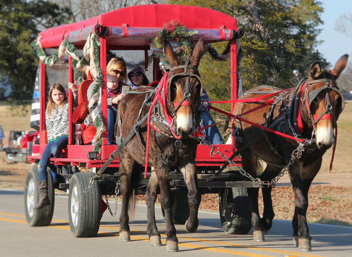 Mantachie Parade 08